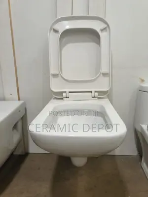 Grand Sanito Wall Hung -GS 19 -With Seat & Cover