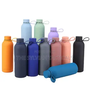 *500ml Vacuum Insulated Stainless Steel Water Bottle Skin Feel Thermal