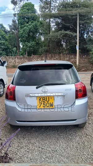 Toyota Allex 2006 Silver