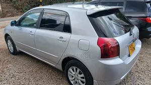 Toyota Allex 2006 Silver