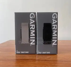 Garmin Cirqa Smartband