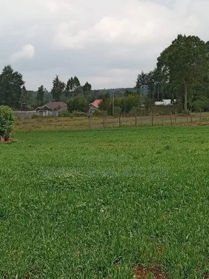Green Crest, Nyahururu