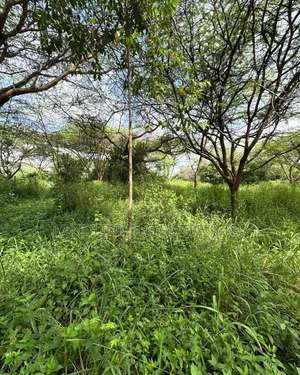 Kilimani 0.5 Acres for Sale