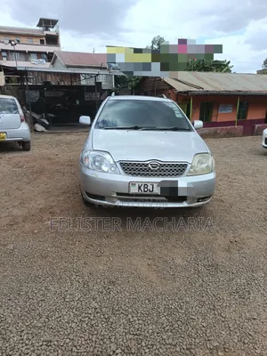 Toyota Corolla Fielder 2007 Silver