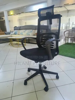 Premium Mesh Executive Office Chair With Lumbar Support