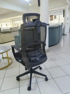 Premium Mesh Executive Office Chair With Lumbar Support