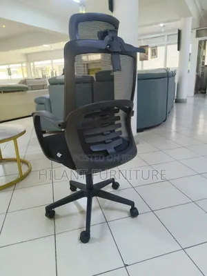Premium Mesh Executive Office Chair With Lumbar Support