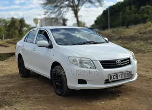 Toyota Axio 2010 Pearl
