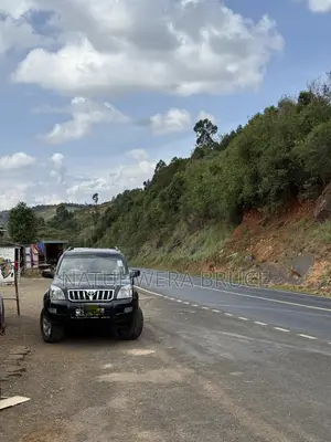 Car Hire Services Prado J120