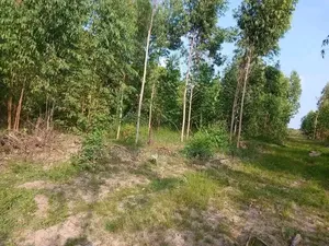 Kitengela Plots 50×100 – | Only 3km From Namanga Highway