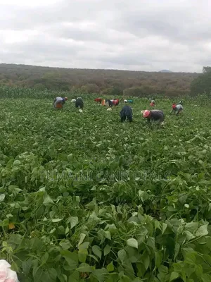 Land in Kajiado