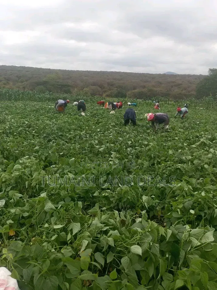 Land in Kajiado