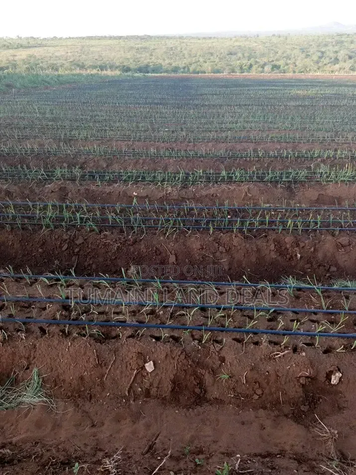 Land in Kajiado