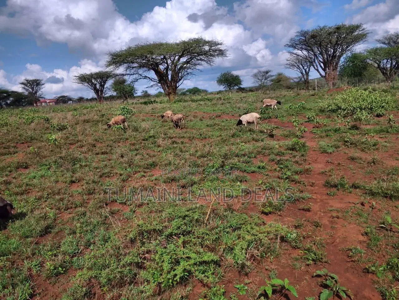 Land in Kajiado
