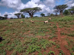Land in Kajiado