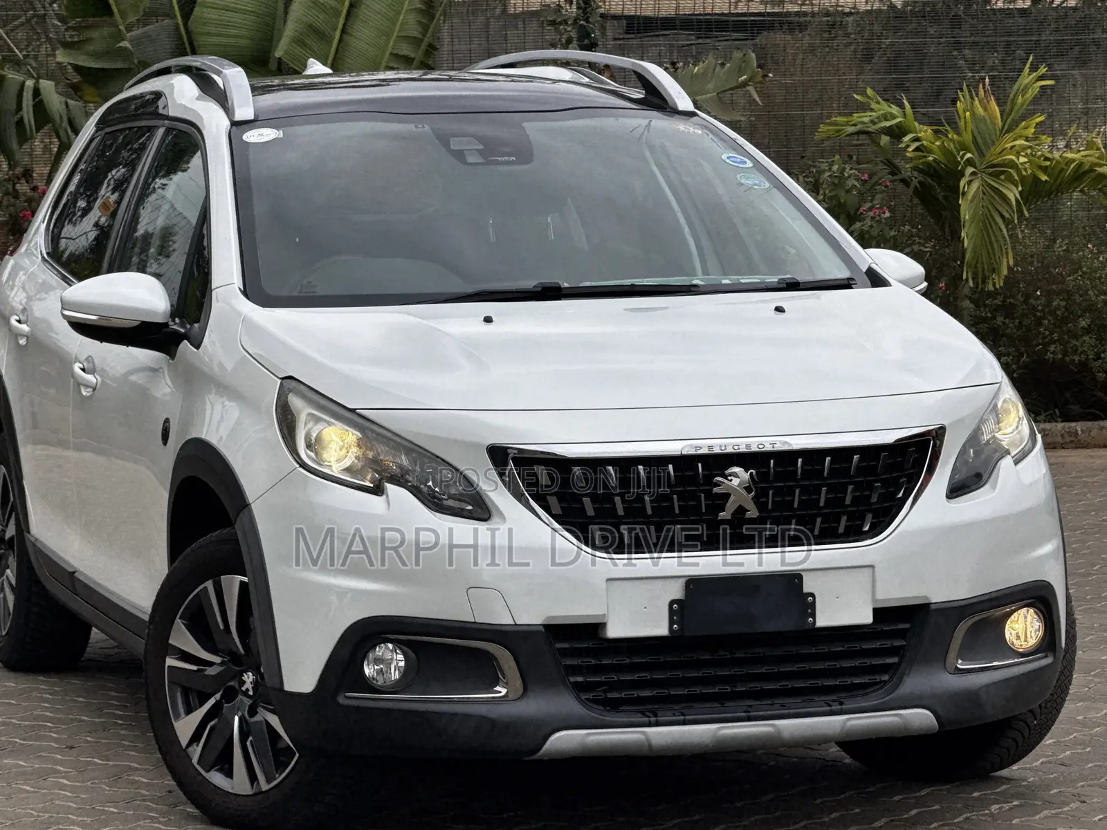 Peugeot 2008 2019 White