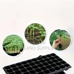 Greenhouse Seedling Trays - Wholesale
