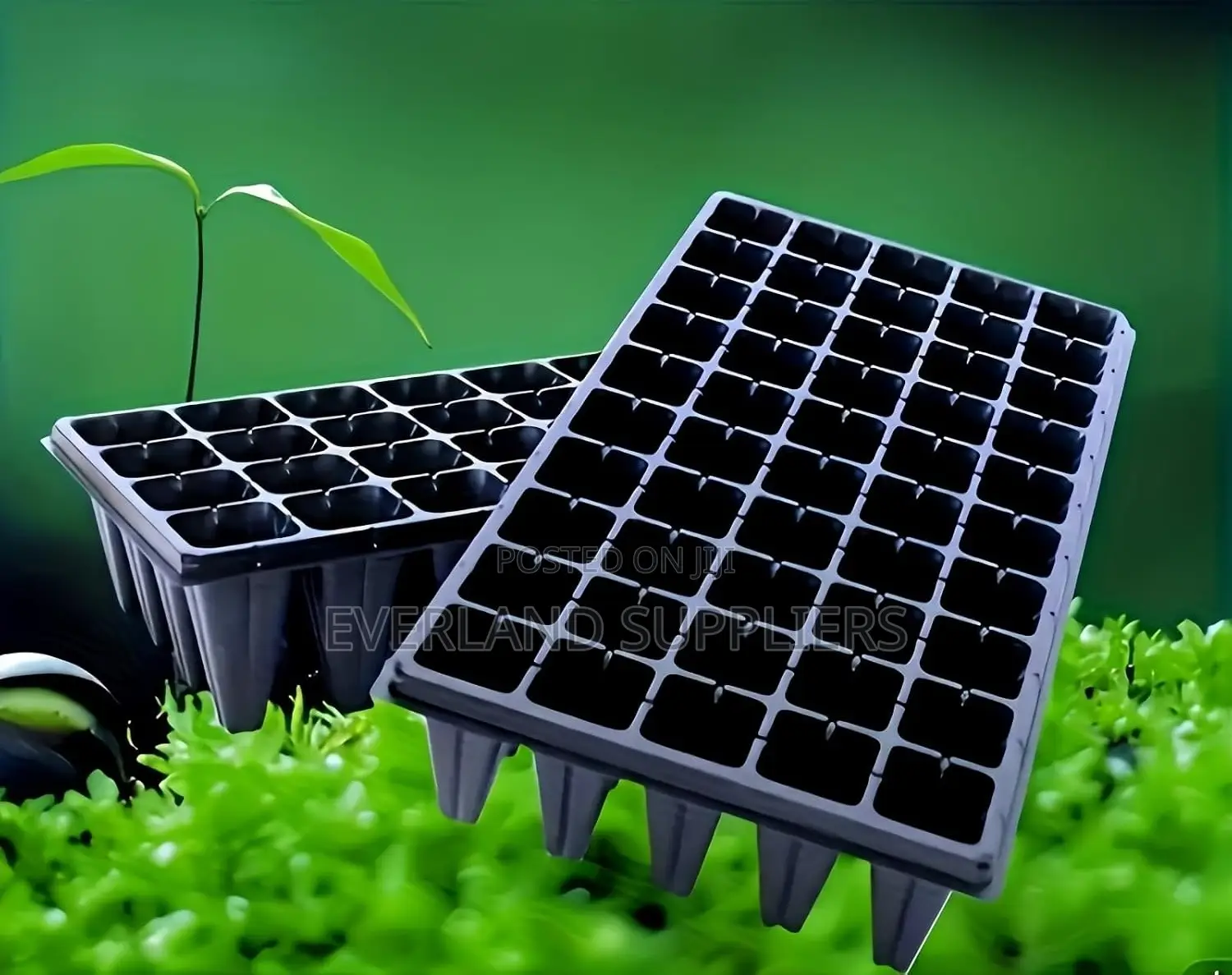 Seed Germination Trays - Wholesale