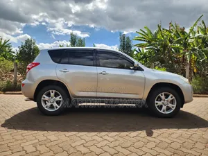 Toyota RAV4 2009 Silver