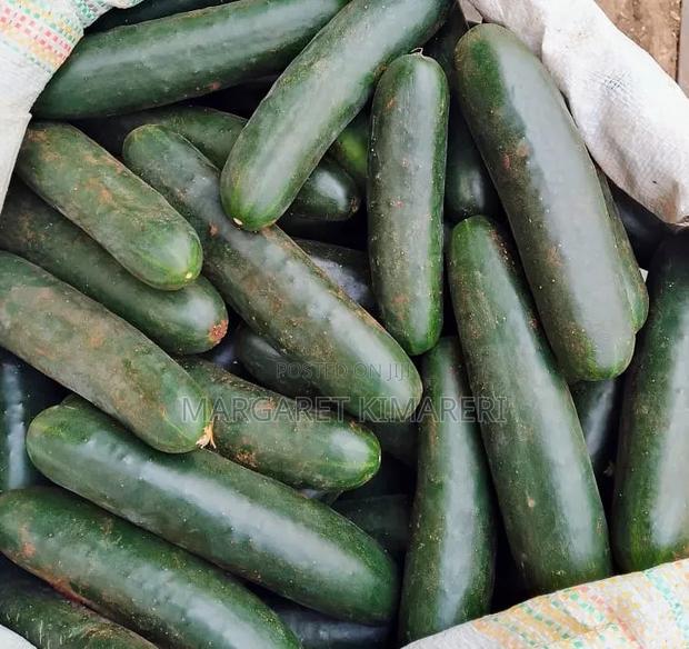 Cucumber for Sale - main view