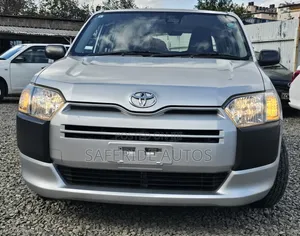Toyota Probox 1.5 DX 2WD 2019 Silver