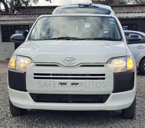 Toyota Probox 1.5 DX 4WD 2019 Pearl