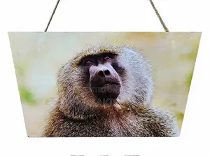 Baboon Wildlife Wooden Wall Hanging Art/Plaque ~ 30x20. Free Delivery