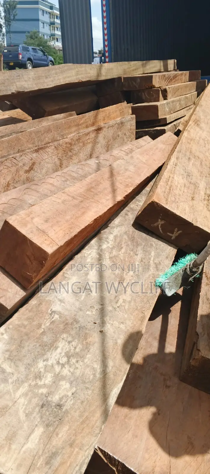 Bark & Beam