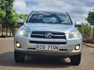 Toyota RAV4 2009 Silver