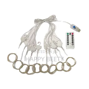 *3m×3m Curtain Lights With Remote*