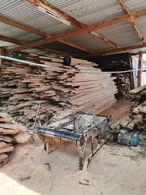 Timber Logs and Poles