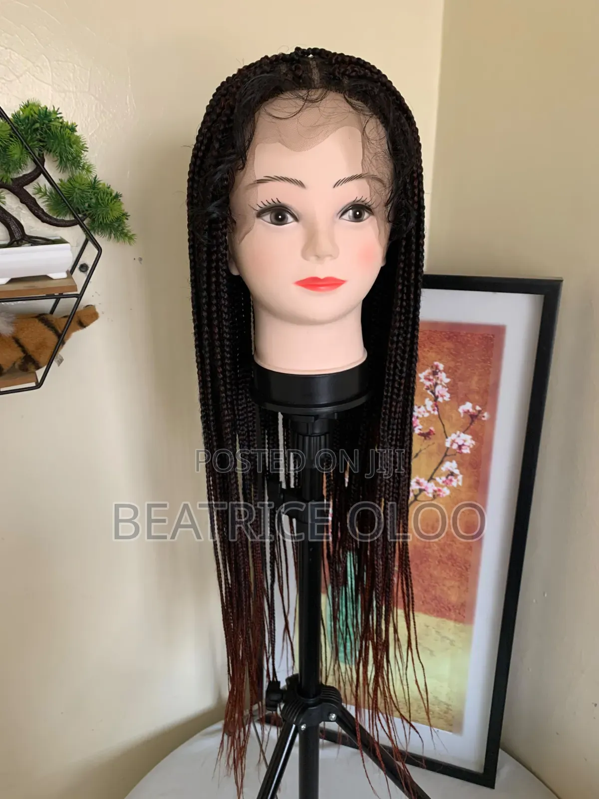 Braided Wig