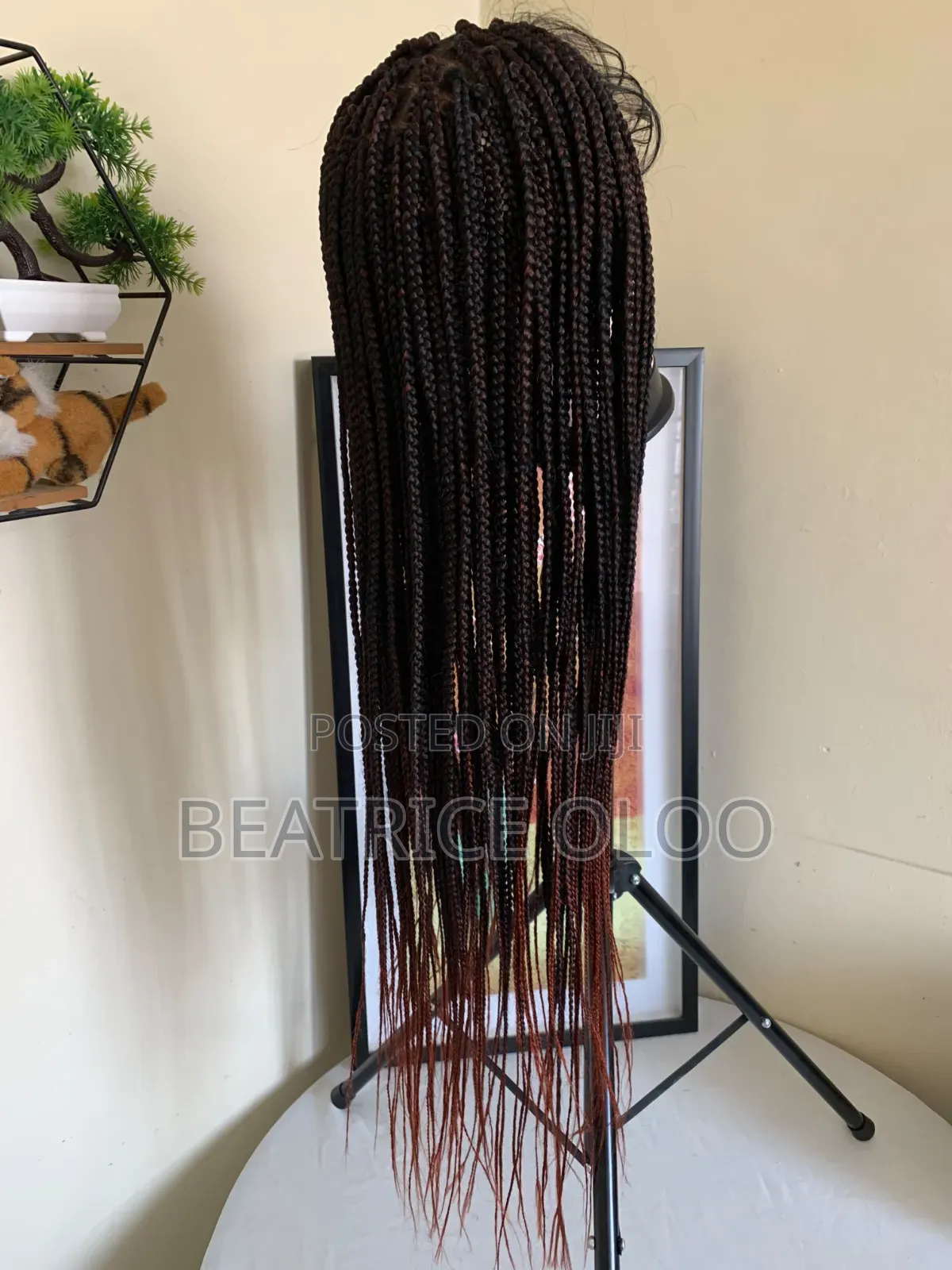 Braided Wig