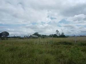 Prime 50×100 Plots for Sale – Kisaju