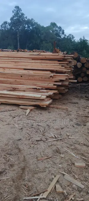 Customed Oak Collection