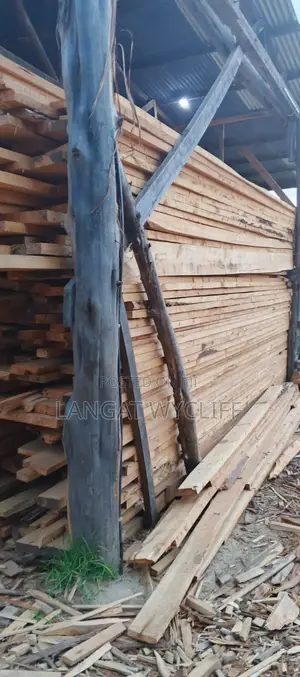 Pro Wooden Planks