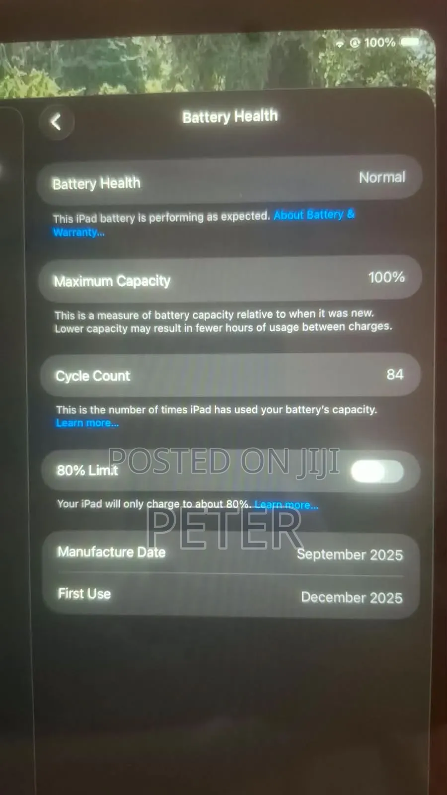Apple iPad (2025) 128 GB Silver