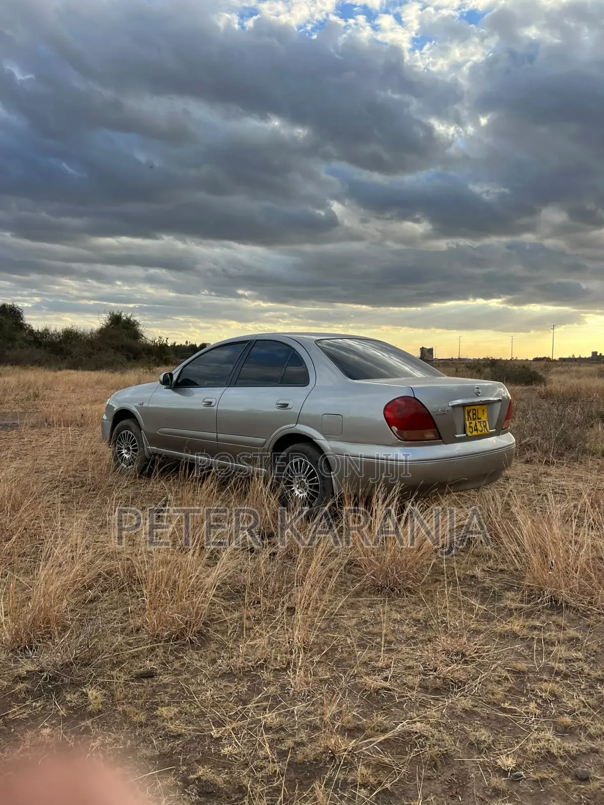Nissan Bluebird 2005 Gray