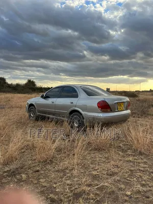 Nissan Bluebird 2005 Gray