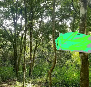 Karen Mukoma Road 5 Acres Also Bogani, Kerarapon, Rhino, Mutero Etc