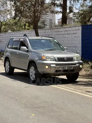 Nissan X-Trail 2.0 2007 Gray