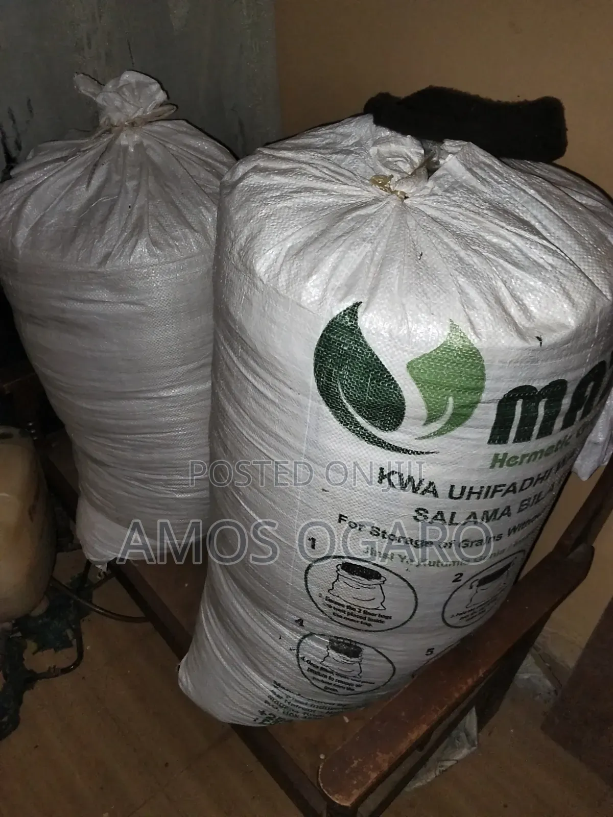 Fresh /Dry Maize