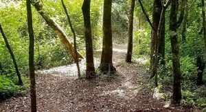 JV ( JOINT VENTURE 0.5 , and Also Another 1 Acre
