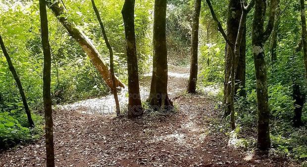JV ( JOINT VENTURE 0.5 , and Also Another 1 Acre - main view