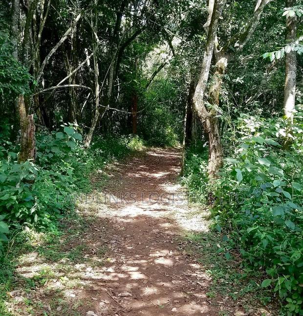 JV ( JOINT VENTURE 0.5 , and Also Another 1 Acre - thumbnail 2