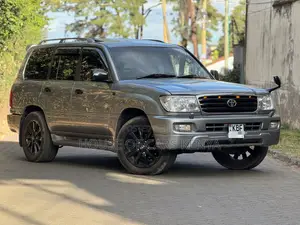 Toyota Land Cruiser 2004 Gray