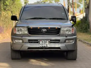 Toyota Land Cruiser 2004 Gray