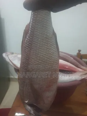 Fresh Fish