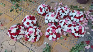 Welcome Fresh Flowers Available All Time