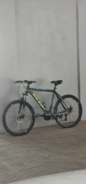 Aluminium Bicycle Raleigh